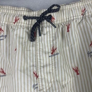 JACK & JONES XL Badehose Shorts Positano Hummer Streifen Strand Pool Urlaub - Bild 1 von 16