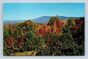 Vista panorámica desde Stratton Mountain Vermont postal de Frank L. Forward sin publicar - Imagen 1 de 2
