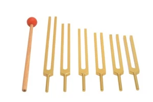 Divisores de afinación de solfeo sagrado dorado 6 piezas incl. 528 Hz + mazo terapia de sonido curación - Imagen 1 de 4