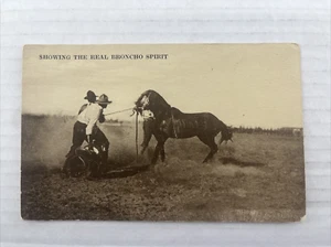 Vintage Postcard c.1917 Rodeo Cowboy SHOWING THE REAL BRONCO SPIRIT - Imagen 1 de 2
