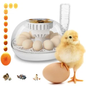 Lreerge Egg Incubator, 12 Eggs Incubator with Automatic Egg Turning, Automati... - Picture 1 of 6