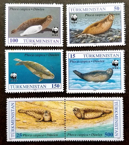 *FREE SHIP Turkmenistan WWF Caspian Seal 1993 Marine Life Fauna (stamp) MNH Cover
