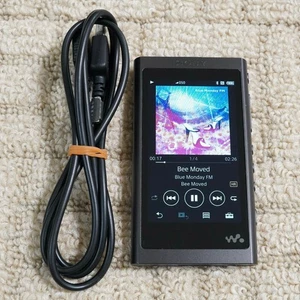 Reproductor de MP3 Walkman Sony NW-A55B grisáceo negro idioma inglés compatible con JPN #16 - Imagen 1 de 18