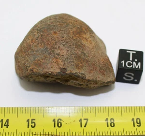 Météorite Gao Guenie ( 49.90 grammes - 026 * ) - Picture 1 of 5