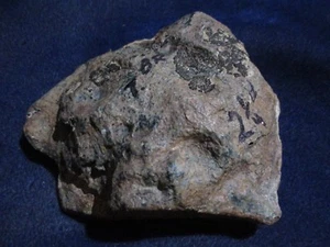 NEPHRITE / JADE from WYOMING - SURFACE SPECIMEN - Picture 1 of 12