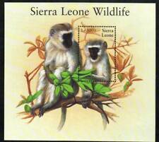Sierra Leone Stamp 2541  - Vervet monkey