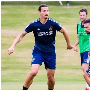 Adidas Los Angeles Galaxy 2018 MLS Training Jersey Medium - Picture 1 of 11