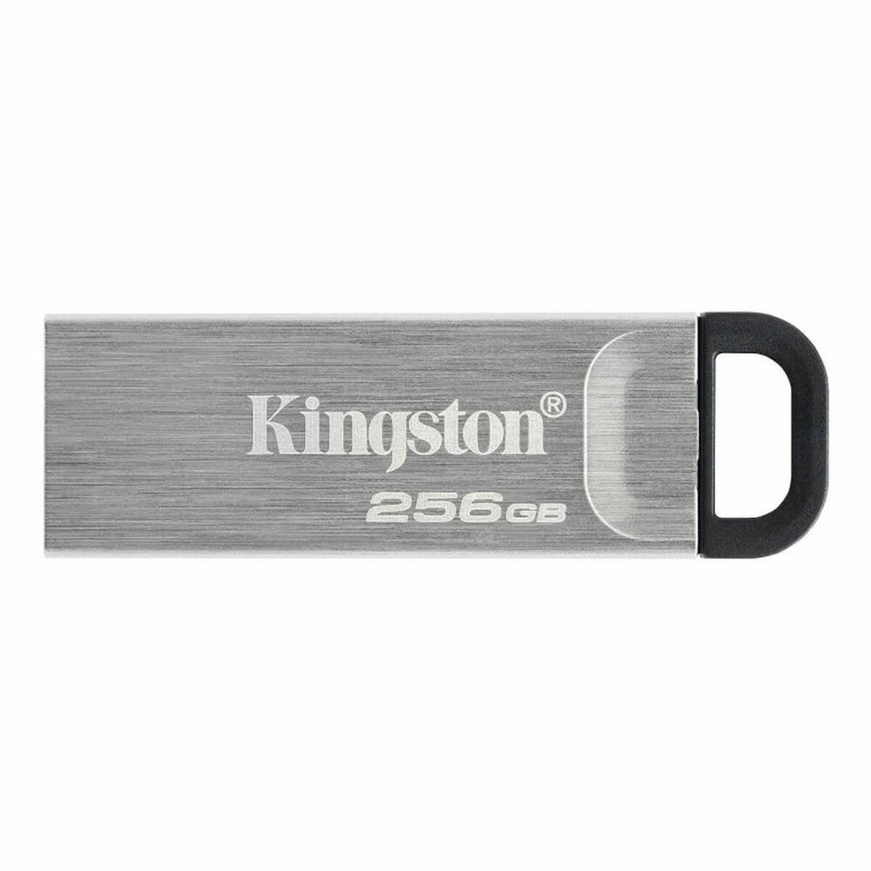 Memoria USB Kingston Nero 256 GB - Immagine 1 di 1