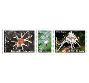 caledonia 2021 caledonie mushroom champignon pilz fungi 2v +label mnh - Picture 1 of 1
