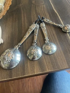 Ganz 4 Stück Segen Messlöffel Set - Bild 1 von 4