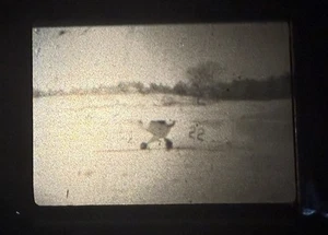 Biplane #22 Landing And Flying In Field Plus Lady By Lake 8mm Film Home Movie - Picture 1 of 13
