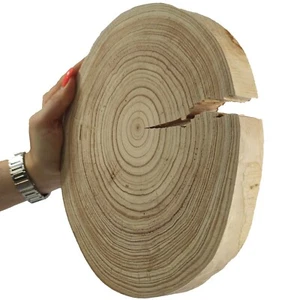 Baumscheibe Holzscheibe OHNE  Rinde  geschliffen Fi 15-35 cm; 1,5-5 cm / LÄRCHE - Bild 1 von 24