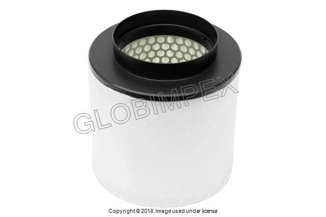 AUDI S8 (2013-2017) Air Filter LEFT OR RIGHT (1) CORTECO-MICRONAIR OEM +WARRANTY Foto 1 de 1