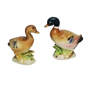 Vtg Mallard Duck Male Female Pair Salt Pepper Shakers Ceramic - Foto 1 di 4