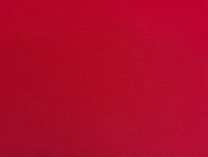 CLASSIC RED CANVAS COTTON DUCK 12 OZ APPAREL UPHOLSTERY FABRIC BY 1/2 YARD 67" W - Picture 1 of 7