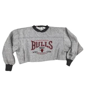 Sudadera De Colección Chicago Bulls Lee Sports Gris Medio Bordado Corte Recortado - Imagen 1 de 7