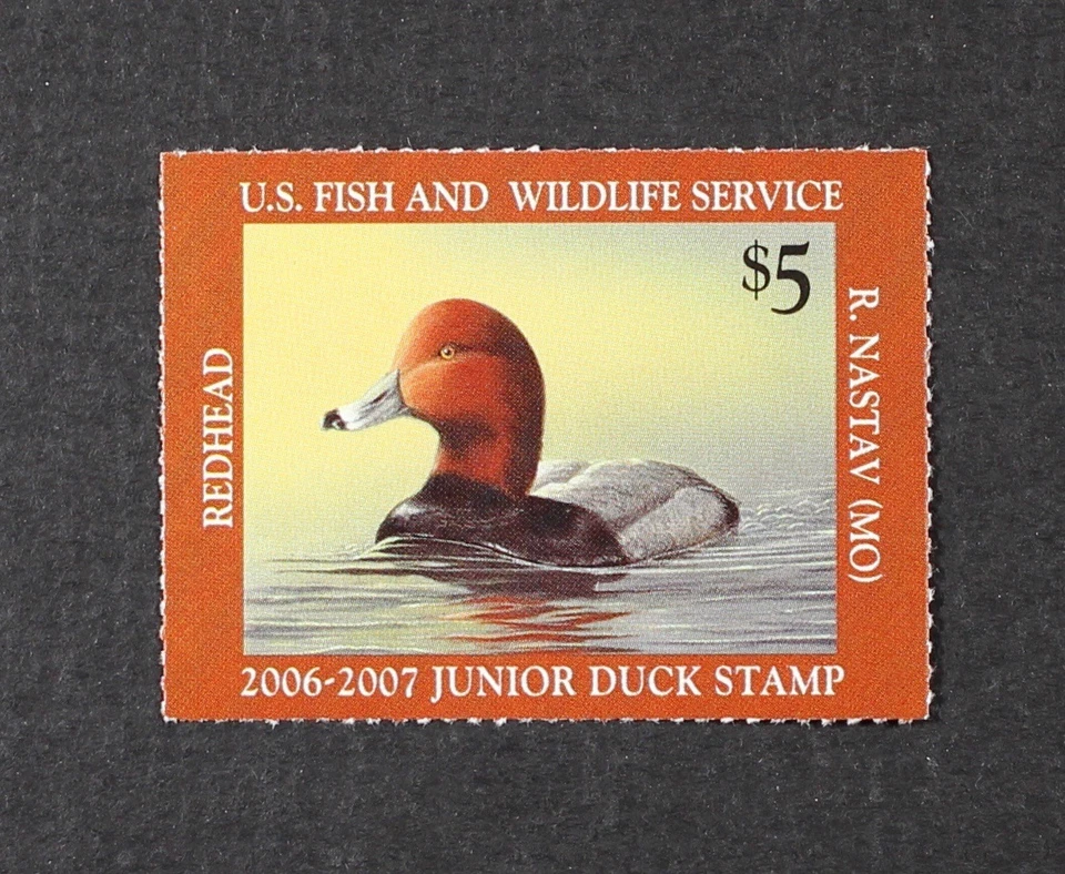 U.S. 2006 #JDS14 $5 Junior Duck Stamp, Redhead Mint NH - Image 1 of 1