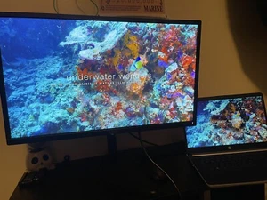Dell 23 Inch Display Monitor : Dell Professional Monitor - Picture 1 of 11