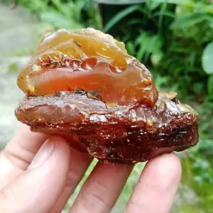 36GR Natural Amber Partly Polished, Yellowish Brown - Picture 1 of 12
