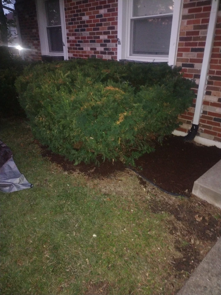 Двигатель 2015 Ram 1500 Hemi - Изображение 1 из 1