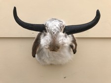 JACKALOPE TAXIDERMY TROPHY  (real jackrabbit /real antelope horns)