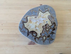Authentic, Natural SEPTARIAN NODULE SLICE. Geometric Patterns - Picture 1 of 9