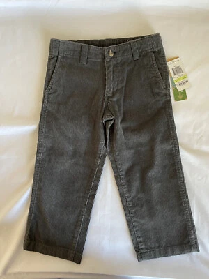 GreenDog Toddler Boy Grey Velvet Pants s 4T - Image 1 of 4