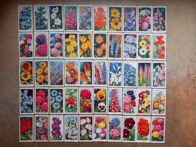 WILLS: Garden Flowers by Sudell 1939 Full Set 50 in good to vg condition - Image 1 of 2