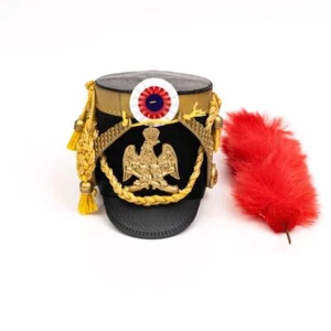 BROWN ART B-A0010 1/6 Serie Napoleón Guardias Oficial de Artillería - Modelo Sombrero - Imagen 1 de 1