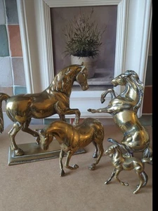 Vintage Heavy Brass Horses Collection Looks Amazing All Very Heavy Over 8klos - Picture 1 of 6