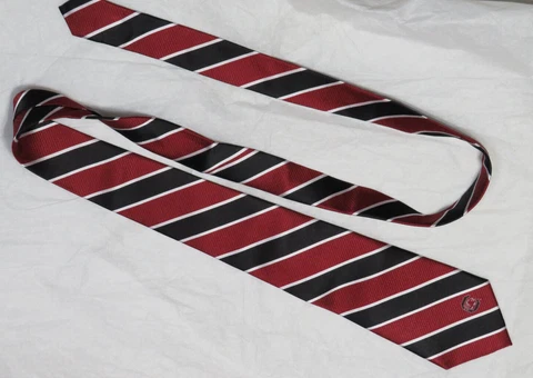 SOUTH CAROLINA GAMECOCKS MEN NCAA SILK NECKTIE TIE 62" ZEP-PRO GARNET STRIPE NEW Cover