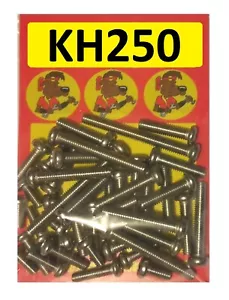Kawasaki KH250 - Engine Covers Kit - A2 Stainless Philips Head Screws - Picture 1 of 1