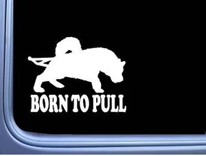 Pegatina Born to Pull L797 6 pulgadas trineo de perros husky malamute perro samoyedo calcomanía - Imagen 1 de 1