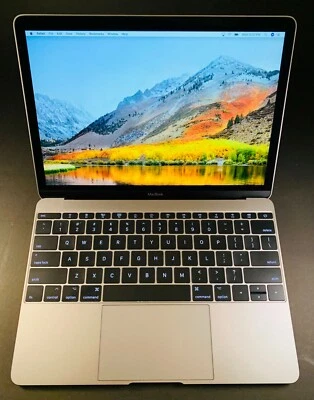 Apple MacBook 12" (mediados de 2017) m3 1,2 GHz 256 GB osx 2018 2019 29 ciclos de batería Foto 1 de 4