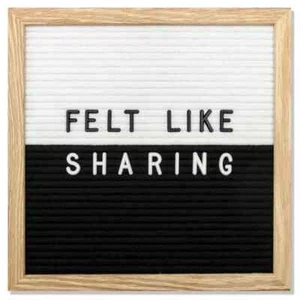 Rare Stiles Felt Letter Board Set, 340 Letters and Numbers, 10x10" Black & White - Picture 1 of 6