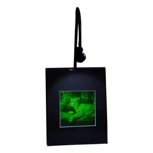 Imagen holograma 3D JAGUAR 2 canales (soporte de escritorio iluminado) película tipo fotopolímero - Imagen 1 de 7