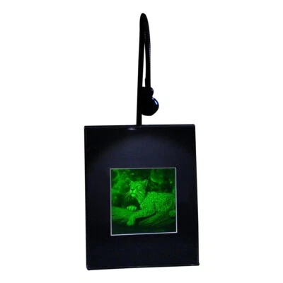 Quadro ologramma 3D JAGUAR 2 canali (SUPPORTO SCRIVANIA ILLUMINATO) pellicola tipo fotopolimero - Immagine 1 di 4