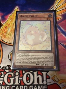 Yugioh! Melffy Puppy - ROTD-EN019 - Súper Raro - 1ª Edición Casi Como Nuevo, Inglés - Imagen 1 de 1