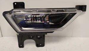 2021-2024 Ford F-150 RH Passenger Halogen Fog Light Black Trim OEM ML34-15A254 - Picture 1 of 12