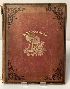 Biological Atlas With Text -M'Alpine  c.1881 - Picture 1 of 11