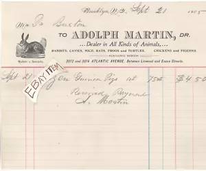 1905 BROOKLYN New York ADOLPH MARTIN Pet Dealer RABBITS Guinea Pigs FROG Turtles - Picture 1 of 1