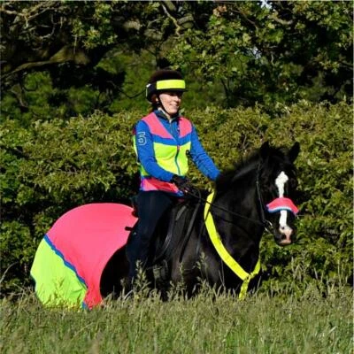 Equisafety Multi Colour Hi Vis Weste Pink/Gelb