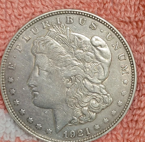 Morgan Silver Dollars Cover