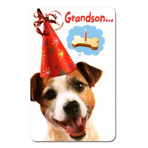 HAPPY BIRTHDAY Card, FOR GRANDSON by American Greetings - Party Dog + Envelope - Picture 1 of 5