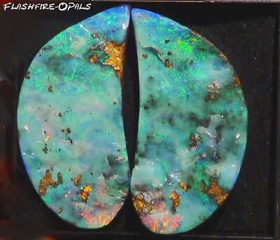 176ct. Gem Boulder Opal Set Bright Türkis-grün-rot-gold Video Flashfire-Opals - Image 1 of 4