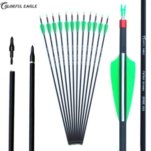 Flechas de carbono 28"/30"/31" SP 500 arco compuesto de tiro con arco práctica de caza - Imagen 1 de 9