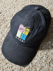 Cappello da baseball Kauai Palm Tree Color Block berretto nero snapback - Foto 1 di 7