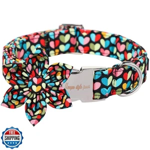 Unique Style Paws Valentinstag Hundehalsband mit Blume Bunt Herz Liebe Hund - Bild 1 von 5