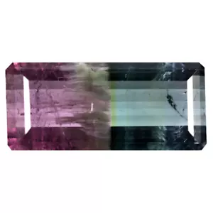 16.58 ct Octagon Cut (26 x 12 mm) Unheated / Untreated Watermelon Tourmaline - Picture 1 of 2