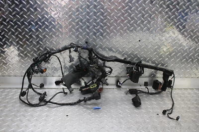 Triumph Street 2013 triple motor principal arnés de cableado motor telar de cable Foto 1 de 4